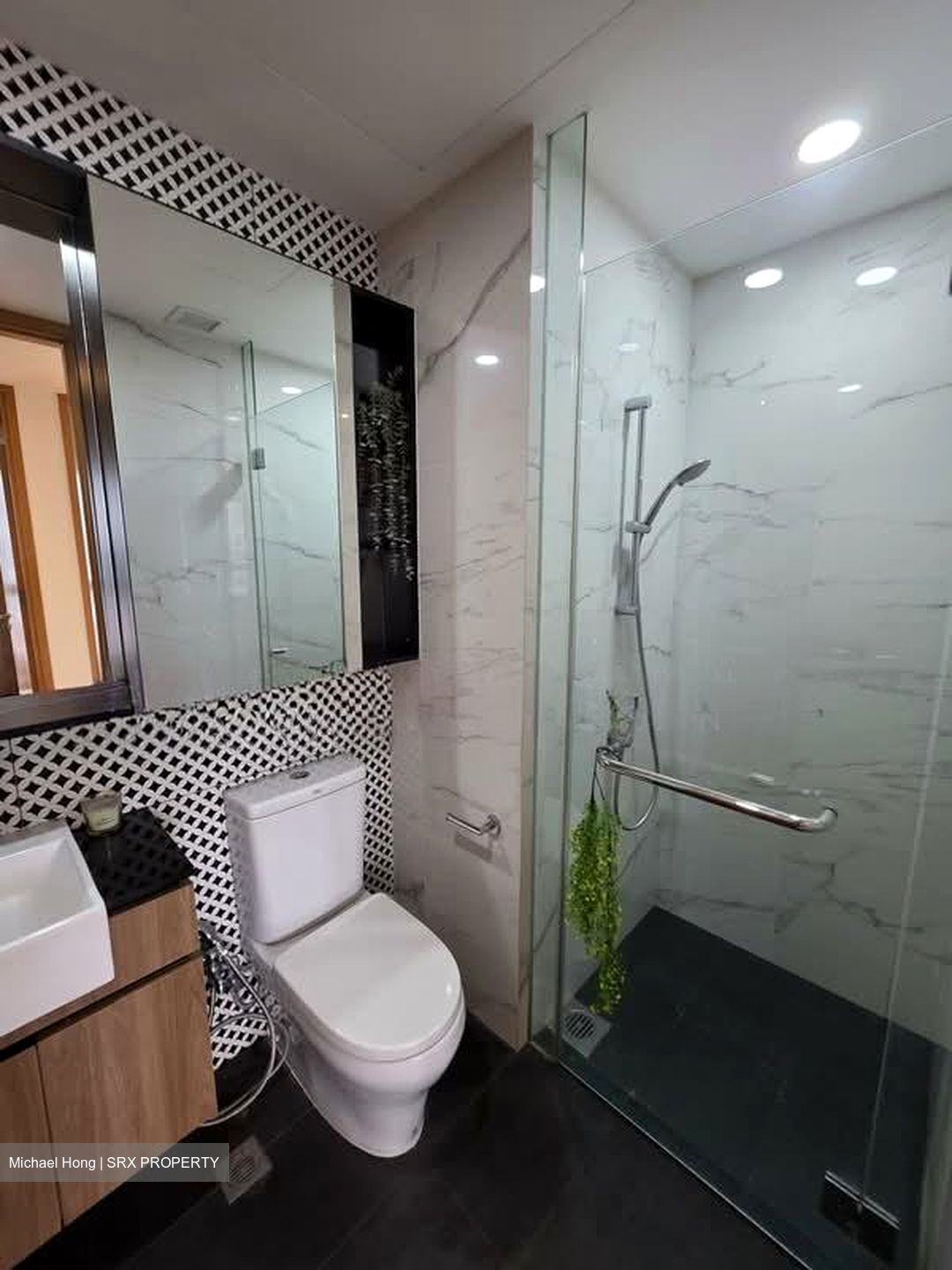 The Verandah Residences (D5), Apartment #554565821